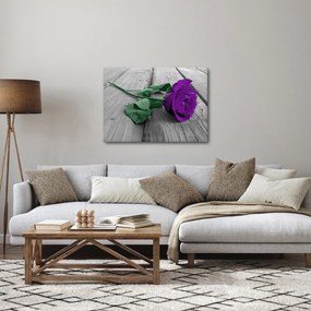 Tablou - Trandafir violet cu tulpina verde (70x50 cm)