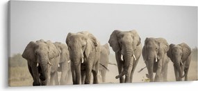 Tablou - Turmă de elefanți (120x50 cm)