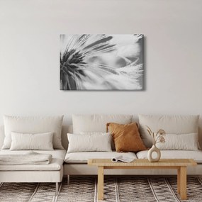 Tablou - Păpădie (90x60 cm)