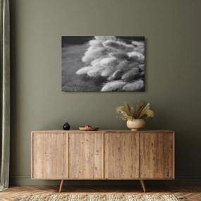 Tablou - iarbă de coadă de iepure pe masă (90x60 cm)
