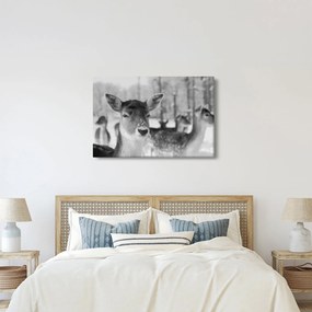 Tablou - Cerbi,alb-negru (90x60 cm)