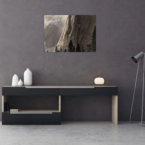Tablou pe sticlă din valea Yosemite parcul național, SUA (70x50 cm)