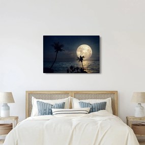 Tablou - Plajă cu lună plină (90x60 cm)