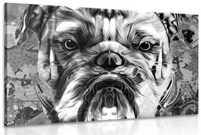 Tablou buldog în design alb-negru