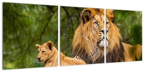 Tablou cu lei (cu ceas) (90x30 cm)