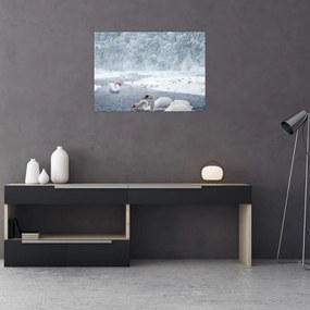 Tablou cu lebăde (70x50 cm)