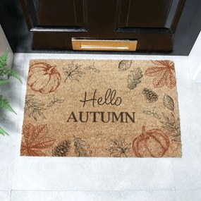 Covoraș de intrare din fibre de nucă de cocos 40x60 cm Hello Autumn – Artsy Doormats