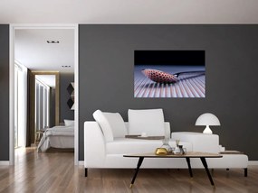 Tablou cu oglindire (90x60 cm)