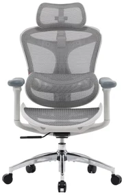Scaun ergonomic SIHOO Doro, cotiere 3D ultra moi, suport lombar dinamic, spătar reglabil pe inaltime in 4 pozitii, tetiera 3D, mecanism inclinare/blocare in 3 pozitii, pivotant, Mesh, Gri