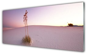 Tablouri acrilice Desert Peisaj Brown