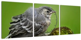 Tablou - Muscarul (cu ceas) (90x30 cm)