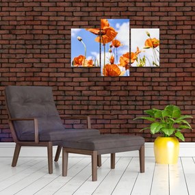 Tablou cu macii (90x60 cm)