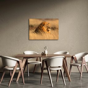 Tablou - Parcul Național Etosha (70x50 cm)