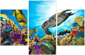 Tablou - Recif de corali (90x60 cm)