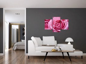 Tablou cu trandafir (90x60 cm)