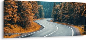 Tablou - Drumul cu serpentine (120x50 cm)