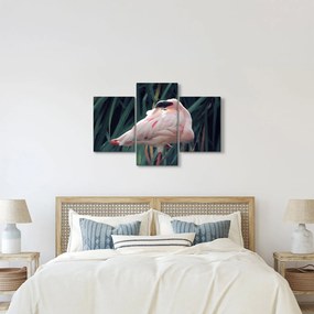 Tablou - Pasărea Flamengo (90x60 cm)