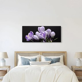 Tablou - Crocus violet (120x50 cm)