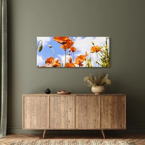Tablou cu macii (120x50 cm)
