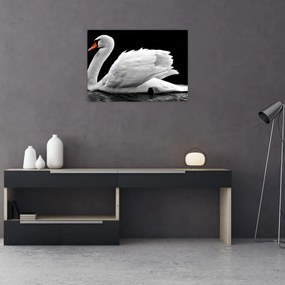 Tablou pe sticlă cu lebăda alb neagră (70x50 cm)