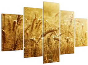 Tablou - Spice de cereale (150x105 cm)