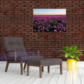Tablou pe sticlă - Pajiștea cu lalele violet (70x50 cm)