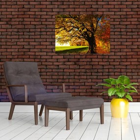 Tablou cu toamna (70x50 cm)