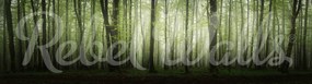 Fototapet, Dawn in the Forest, Rebel Walls