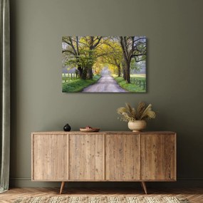 Tablou - Smoky Mountains, Gatlinburg, SUA (90x60 cm)