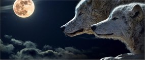 Tablou cu lupi în lună (120x50 cm)