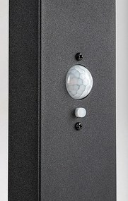 Lampa solara cu senzor de miscare, IP54 Lasset H-50cm