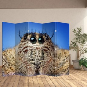 Paravan - Detalii a unui pâianjen (210x170 cm)