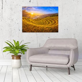 Tablou pe sticlă - Terasele de orez din Vietnam (70x50 cm)
