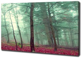 Print pe canvas Frunze de toamna