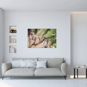 Tablou cu veverița în copaci (90x60 cm)