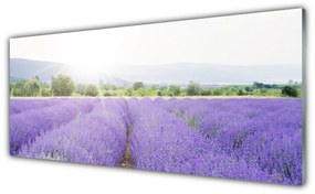 Tablou pe sticla Flori Meadow Natura Purple