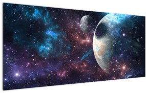 Tablou cu cosmos (120x50 cm)