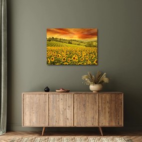 Tablou - Câmp de floarea-soarelui (70x50 cm)