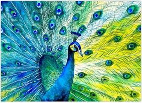 Tablou - Păun (70x50 cm)