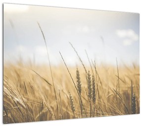 Tablou cu grâne (70x50 cm)