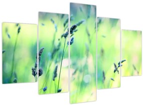 Tablou - Detaliu pajiște (150x105 cm)