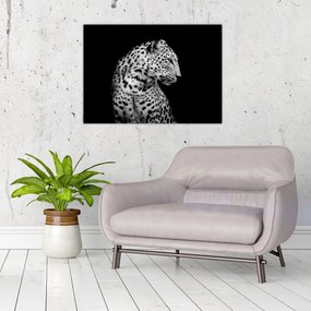 Tablou pe sticlă - Leopardul (70x50 cm)