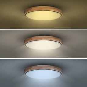 Solight WO8005 - Lampă LED IRON OAK 48W/230V 3000-6500K Ø40 cm + DO