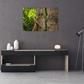 Tablou - Veverița (90x60 cm)