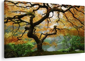 Tablou - Arțarul japonez galben, Portland, Oregon (90x60 cm)