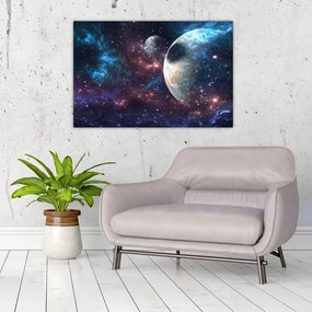 Tablou cu cosmos (90x60 cm)