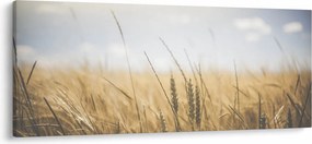Tablou cu grâne (120x50 cm)