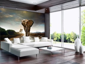 Fototapet - Elefant (254x184 cm), în 8 de alte dimensiuni noi