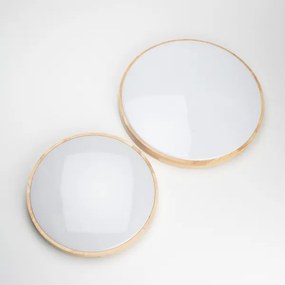 Brilagi - Plafonieră LED dimabilă PINE LED/60W/230V + telecomandă