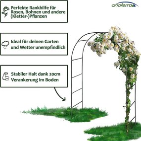 anaterra Arcul de grădină pentru plante cățărătoare, 2 buc,
